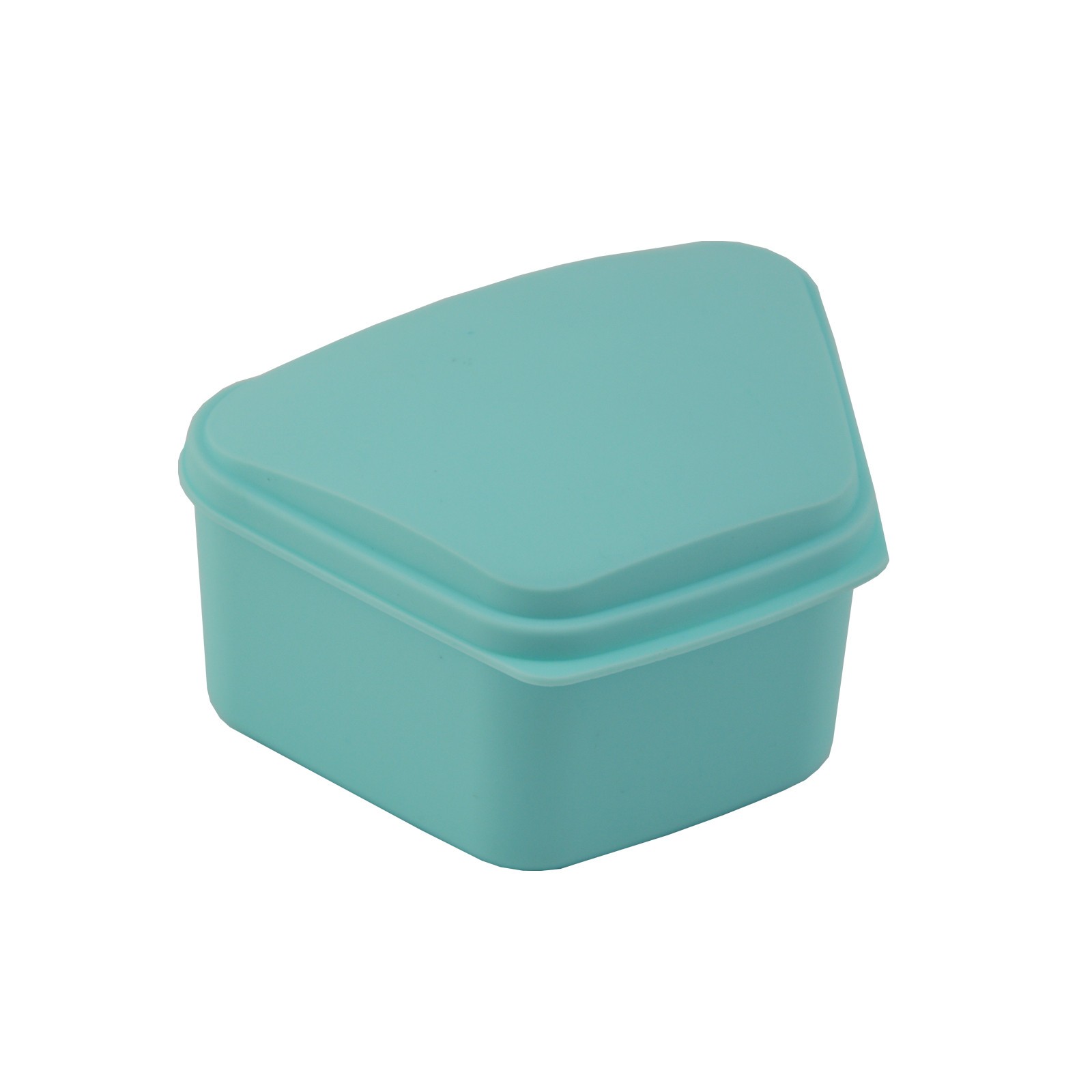 Dental Denture box case carrier assorted color Top Quality Money back guarantee