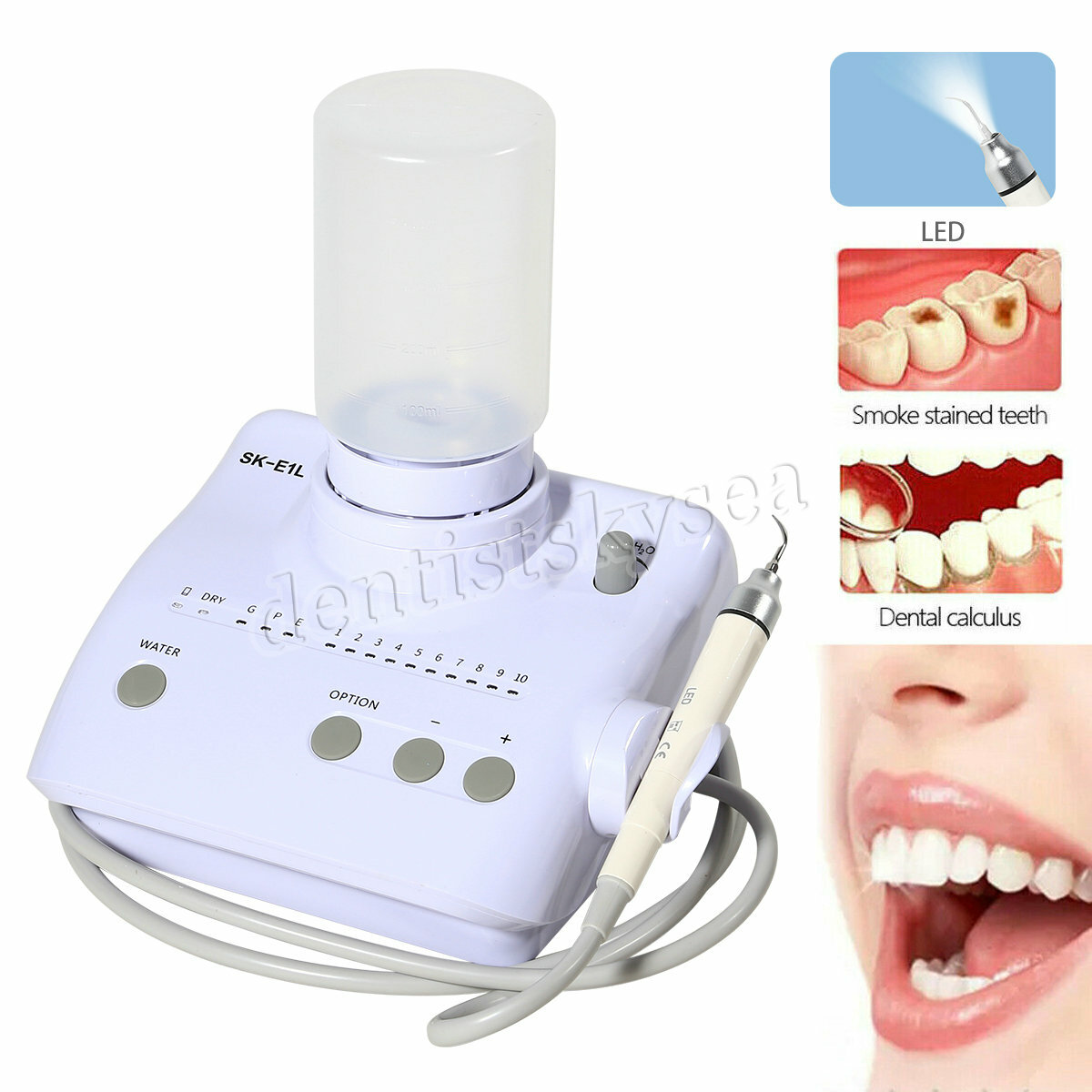 LED Dental Portable Ultrasonic Scaler 2*Bottles Fits EMS Woodpecker Handpiece US