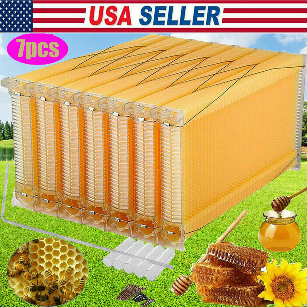 7ps Upgraded Auto Flowing Honey Beekeeping Beehive Frame Bee Comb Hive Foodgrade