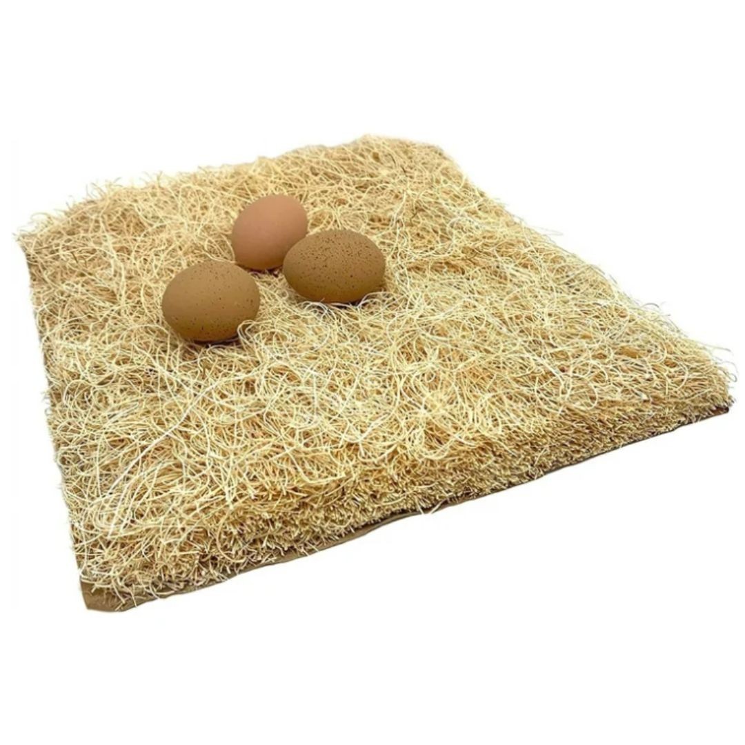 Pecking Order Chicken Nest Box Pads 10 Pack, Made with Great Lakes Aspen Excelsi