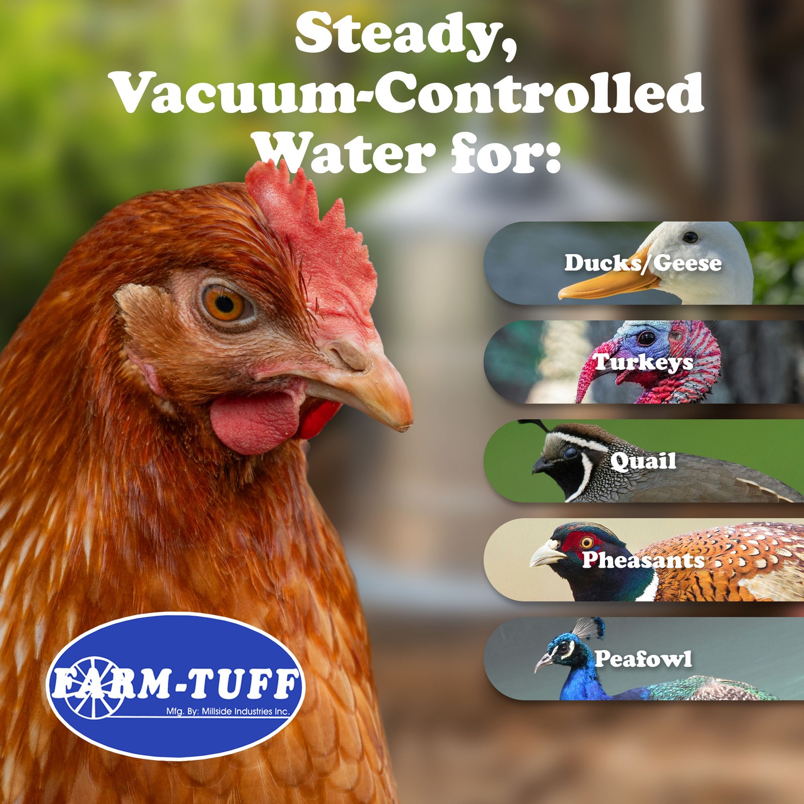 FARM-TUFF Double Wall Cone Top Galvanized Poultry Fountain, 3 Gallon Capacity