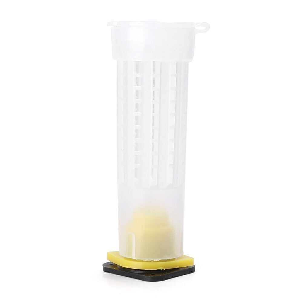10Pcs Beekeeping Rearing Cup Kit Queen Bee Cages Beekeeper Equipment Tools