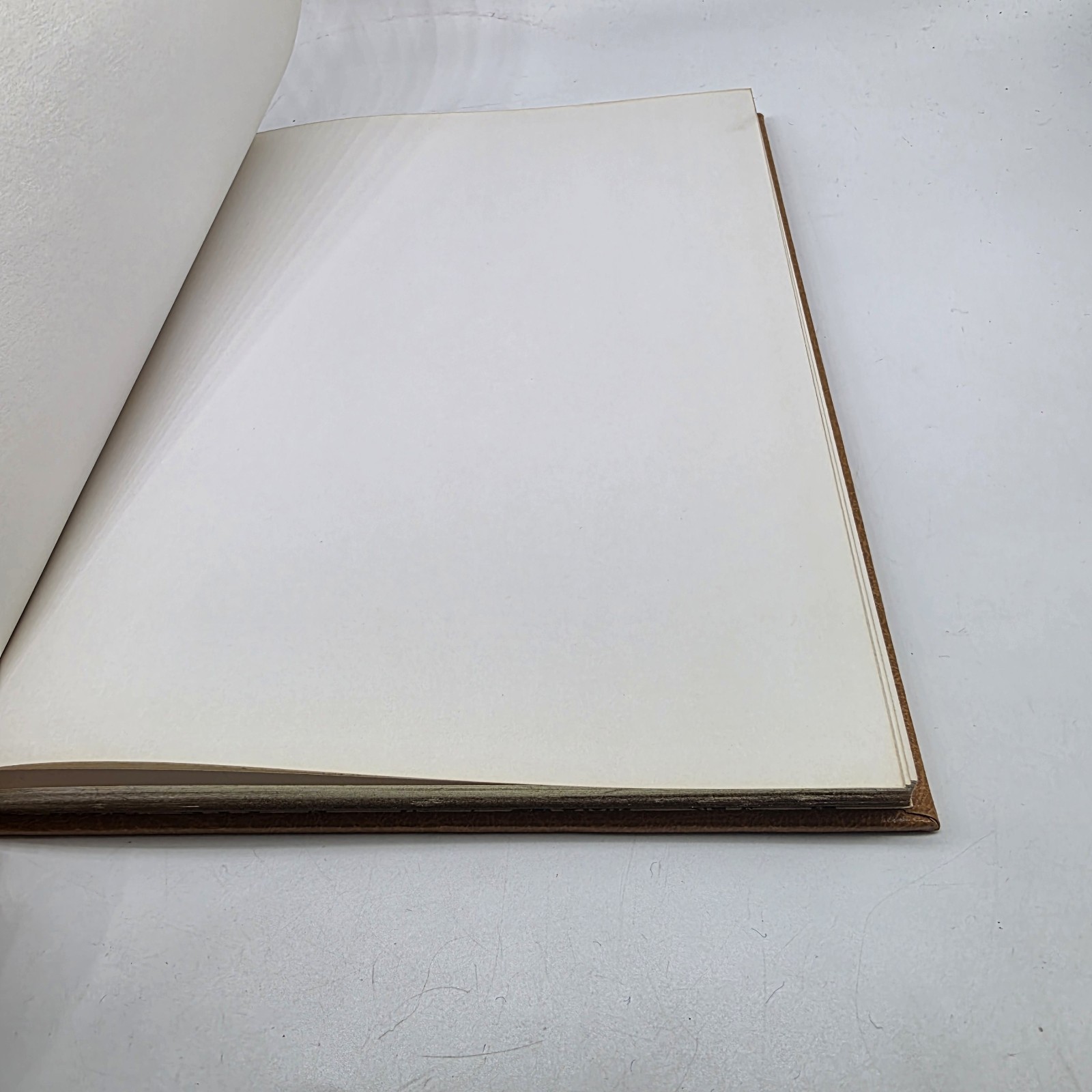 Vtg Anything Book™️ Hardcover Blank Journal Unlined Unruled Sketch Art Deco Gold