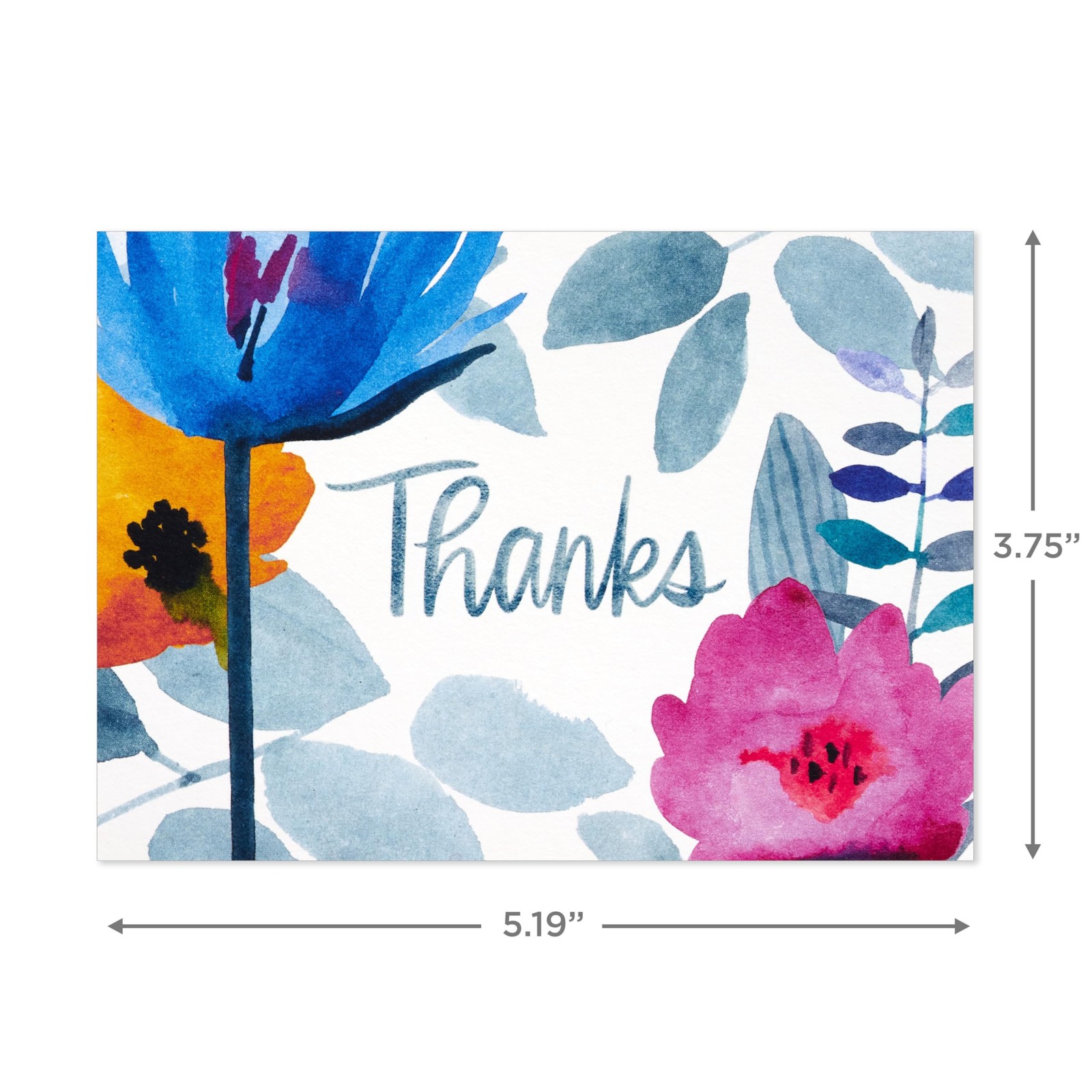 Hallmark Thank You Notes Assortment 4 inches x 5.5 inches, Watercolor Florals