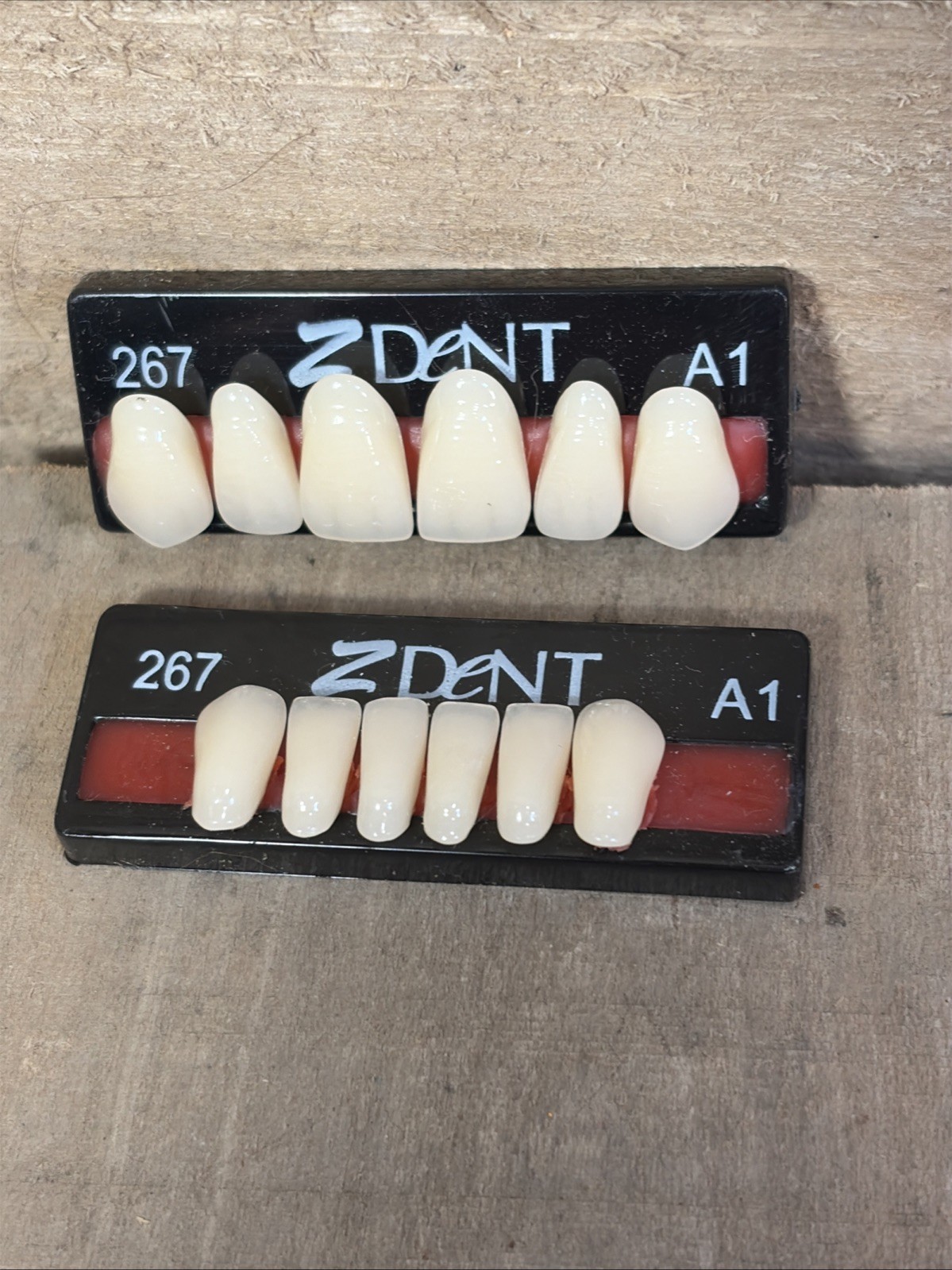 Z dent Synthetic Polymer False Teeth 2 Sets of 12 for 24 Total Size 266 267 A1