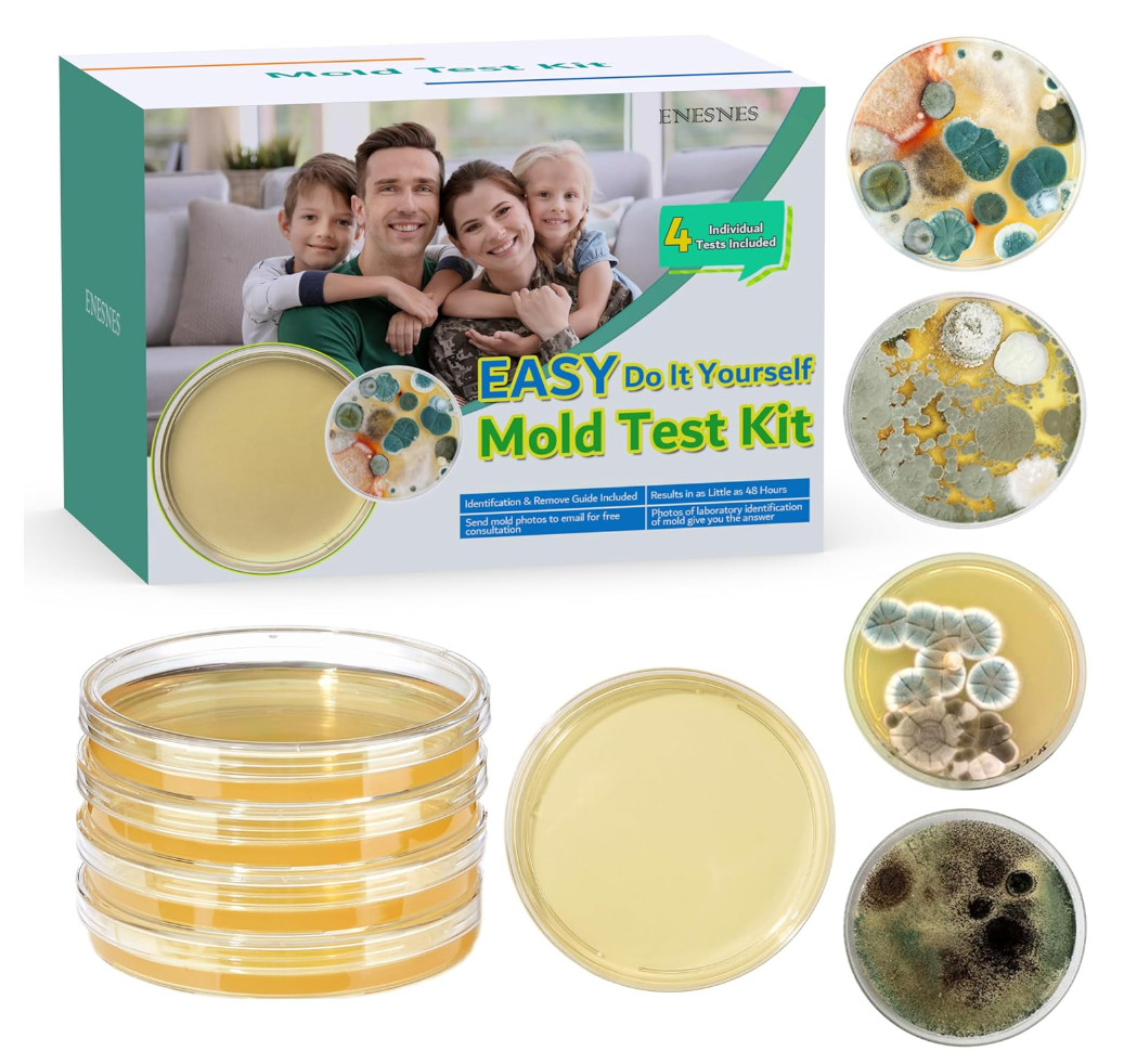 Mold Test Kit for Home Air: DIY Mold Detector with 4 Simple Detection Tests, USA