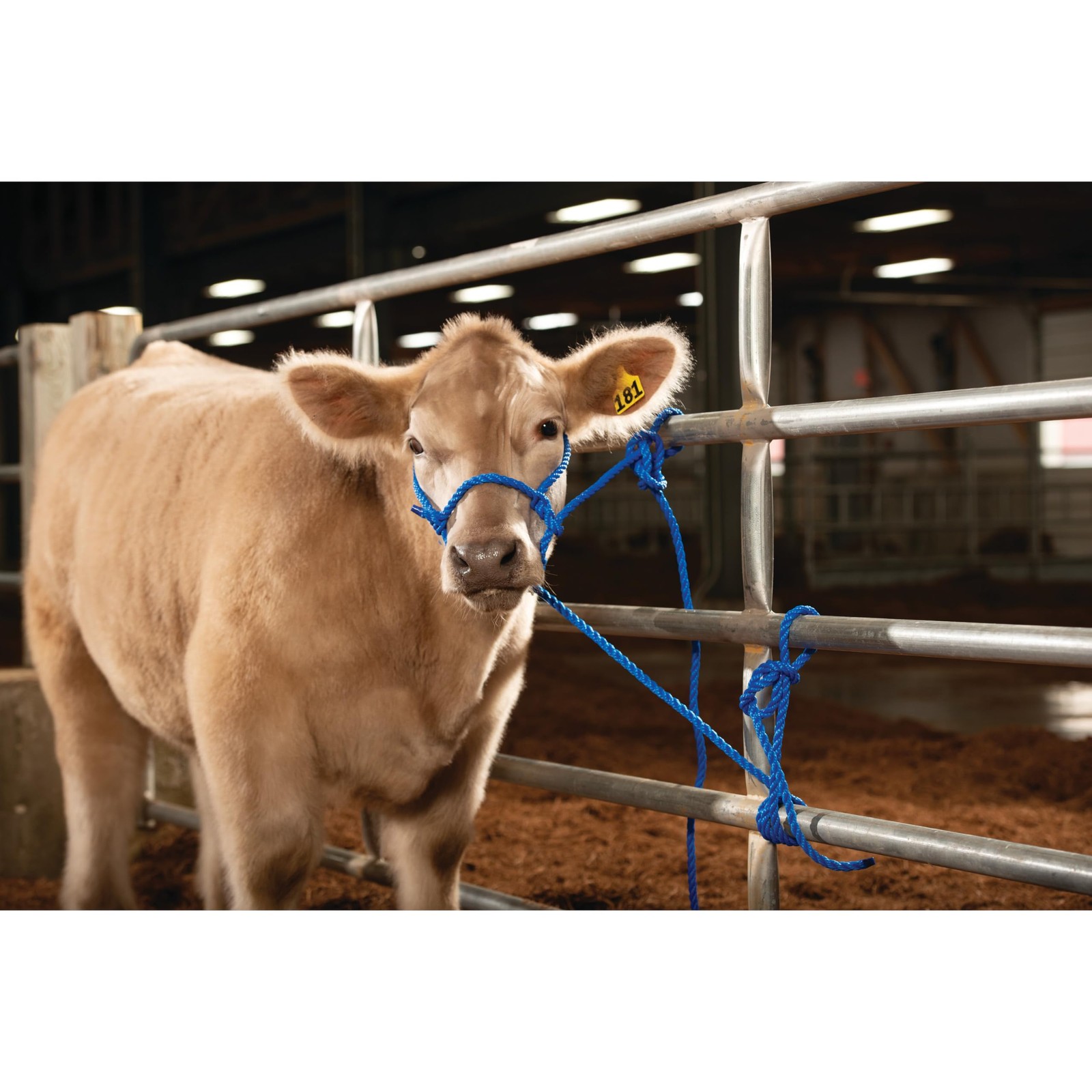 Adjustable Poly Neck Rope for Livestock Durable and Versatile Tool