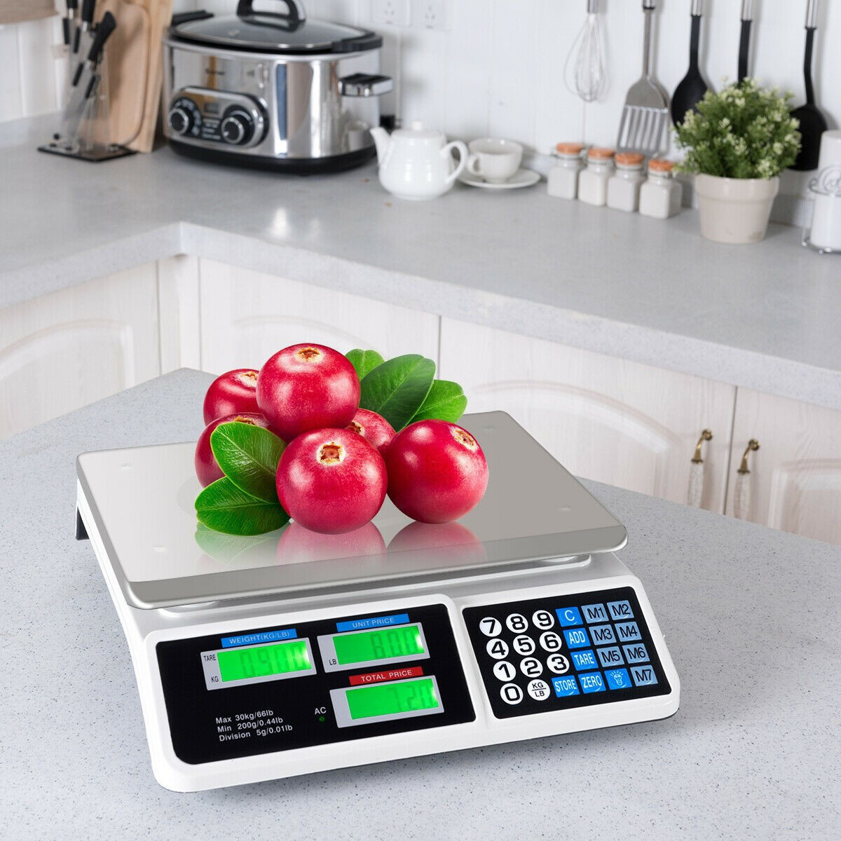 66 lbs Digital Commercial Price Scale Food Fruit Electronic Counting LCD Display