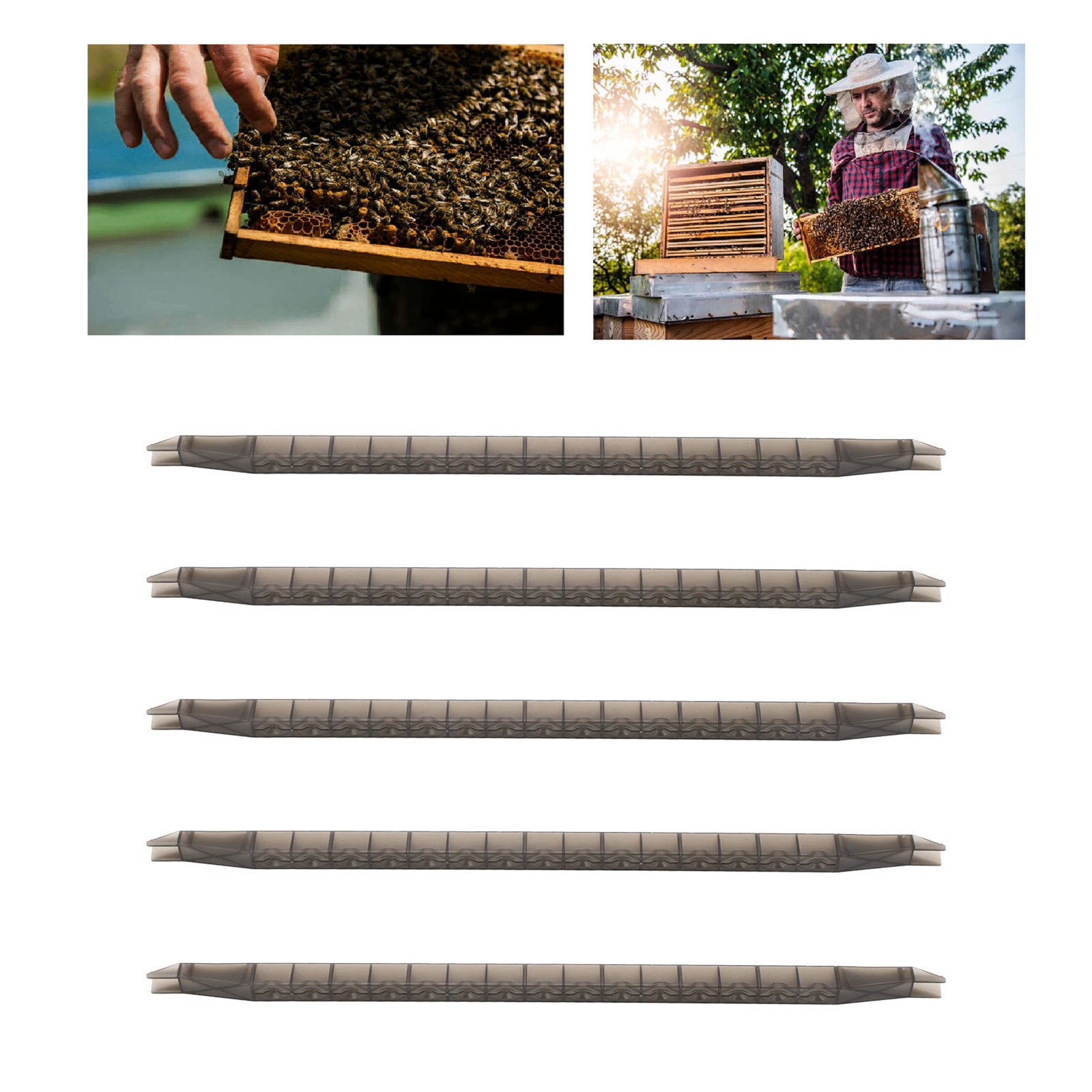5Pcs Queen Bee Cell Cup Bar Kit W/Frame 15 Holes Plastic Rearing Cage Box US