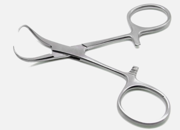 Backhaus Towel Clamp Forceps 3.5″ Set of 10 Surgical Veterinary Stainless Steel