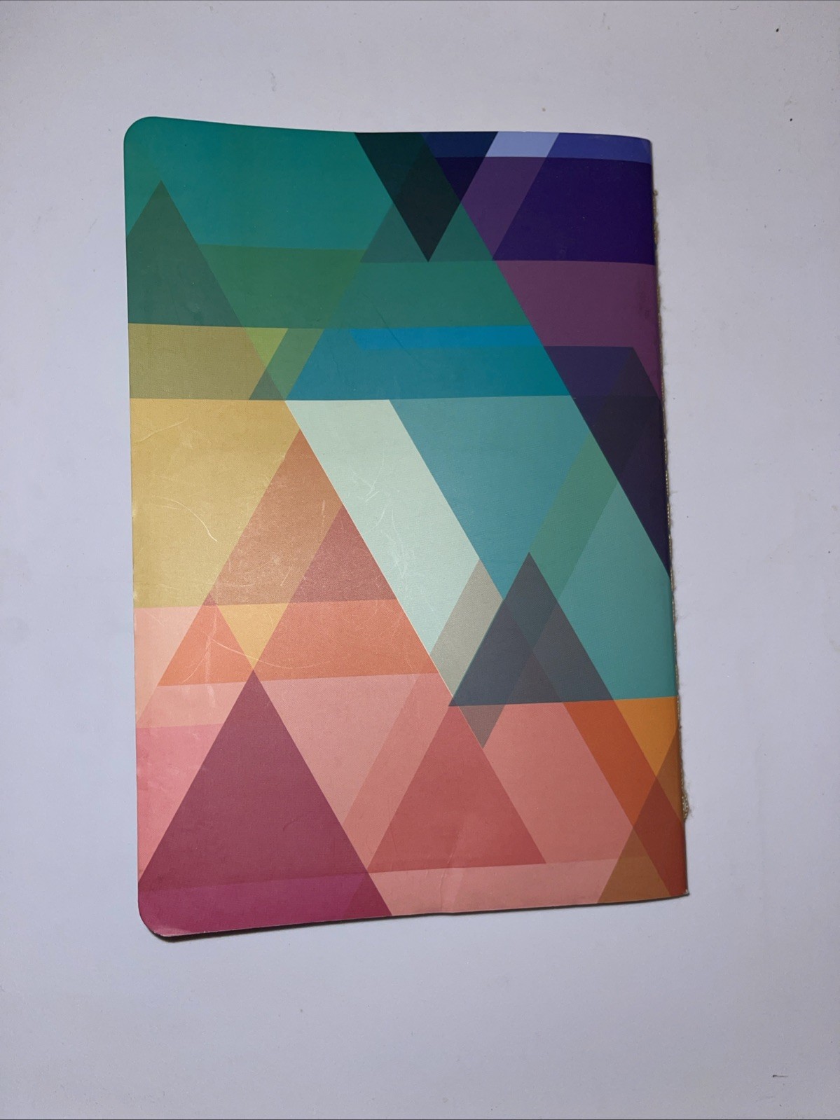 Erin Condren Budget Book 13 Month Planner Geometric Rainbow 8.5 in x 5.75 in