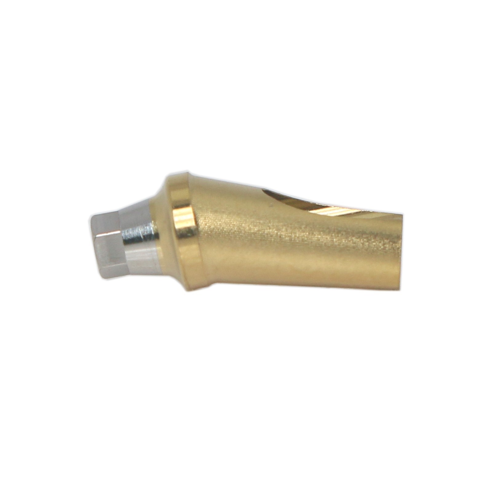 17° Angled Anatomic Abutment Regular Ø5.0mm For Hiossen Osstem Platform Implant