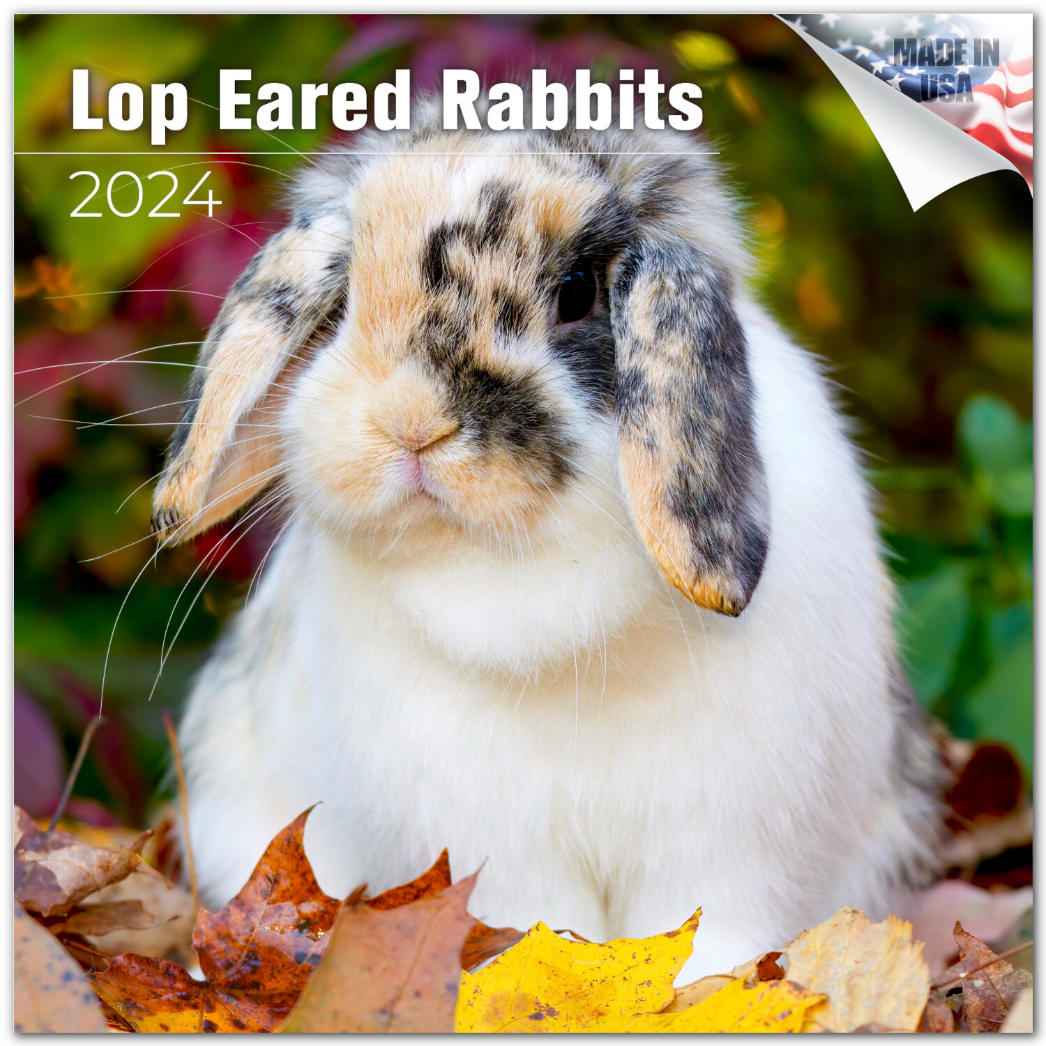 Lop Eared Rabbits Calendar 2024 FULL SIZE 12×24 Made in USA