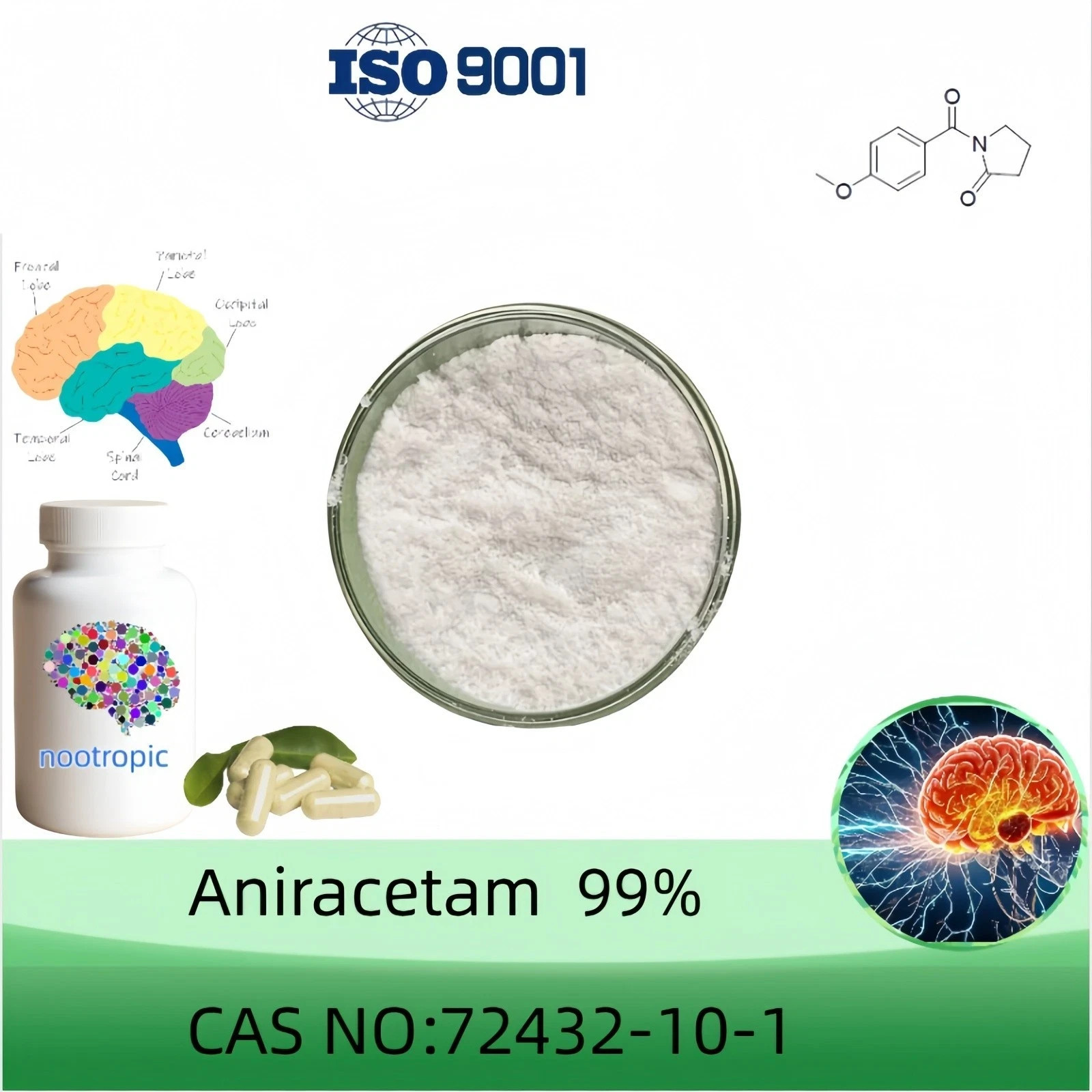 Ani Raw Powder, Purity 99+%, 25 Grams, CAS: 72432-10-1