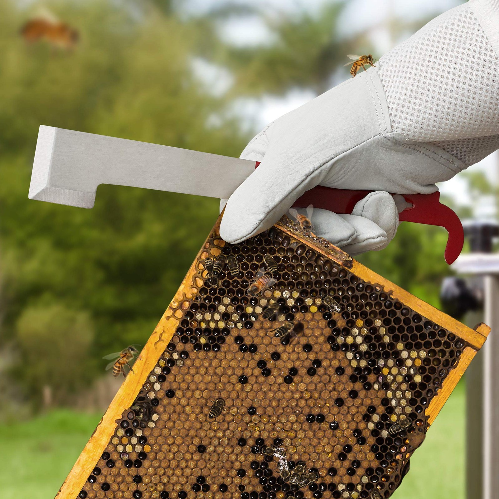 Honey Keeper 2-Pack Stainless Steel J Hook Bee Hive Tool, 10-1/2 inch Red