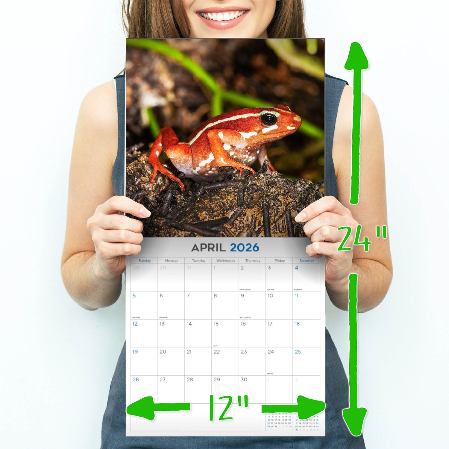 Lingerie Calendar 2026 – Model Wall Calendar – Made in the USA!