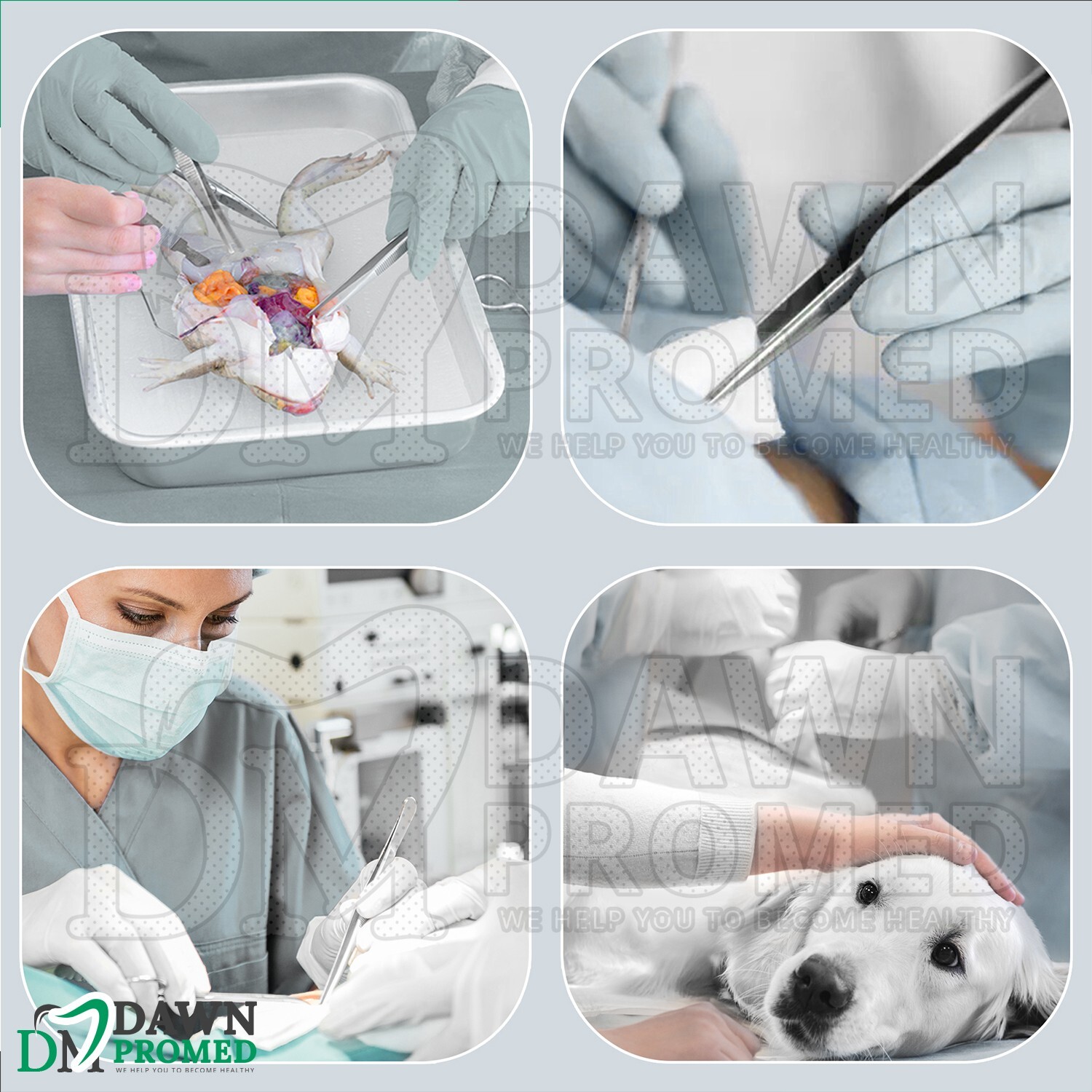 19 Pcs Advanced Dissecting Kit For Students Biology Lab Anatomy Dissection Set