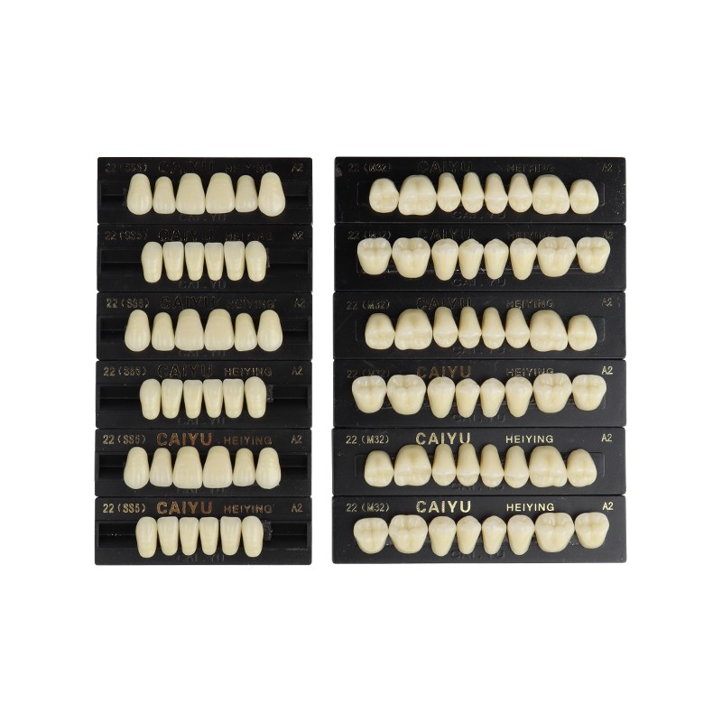 3*28Pcs/Set A1 A2 A3 Shade Dental Full Mouth Synthetic Resin Teeth Denture