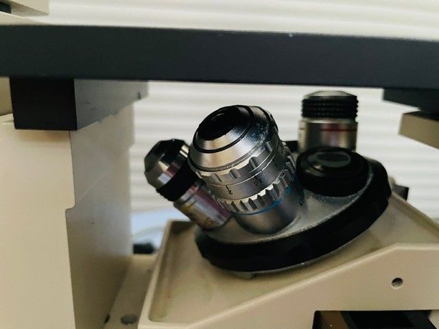 Olympus IMT-2 Inverted Phase Contrast Microscope