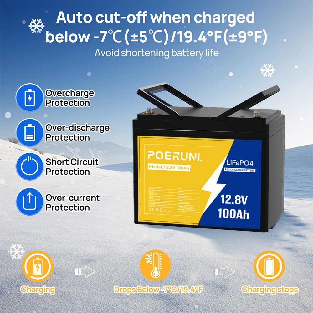 NEW 100Ah 12V LiFePO4 Lithium Battery Built-in BMS 8000+ Cycle Deep for Solar RV