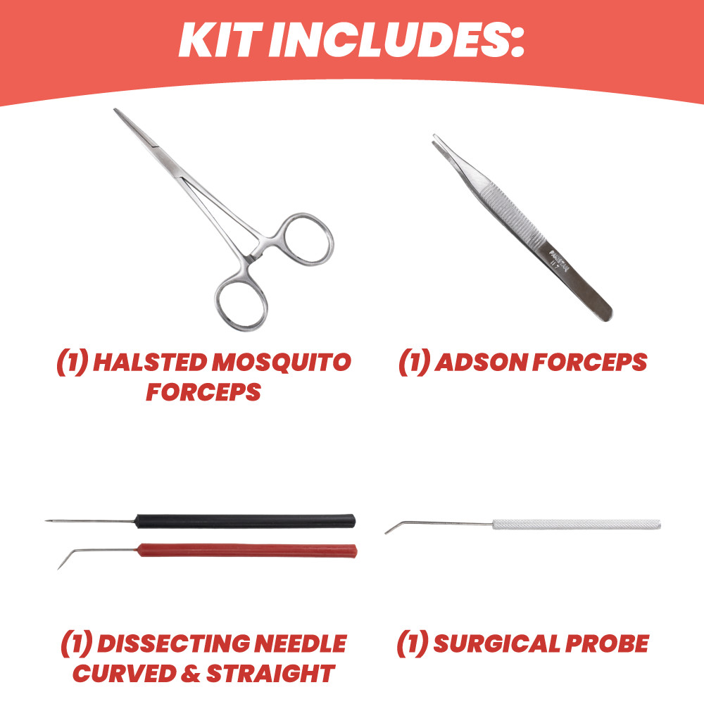 15 Piece Dissecting Kit, with Case
