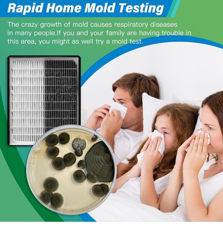 Mold Test Kit for Home – 12 Simple Detection Tests,Test HVAC System,Home Surf…