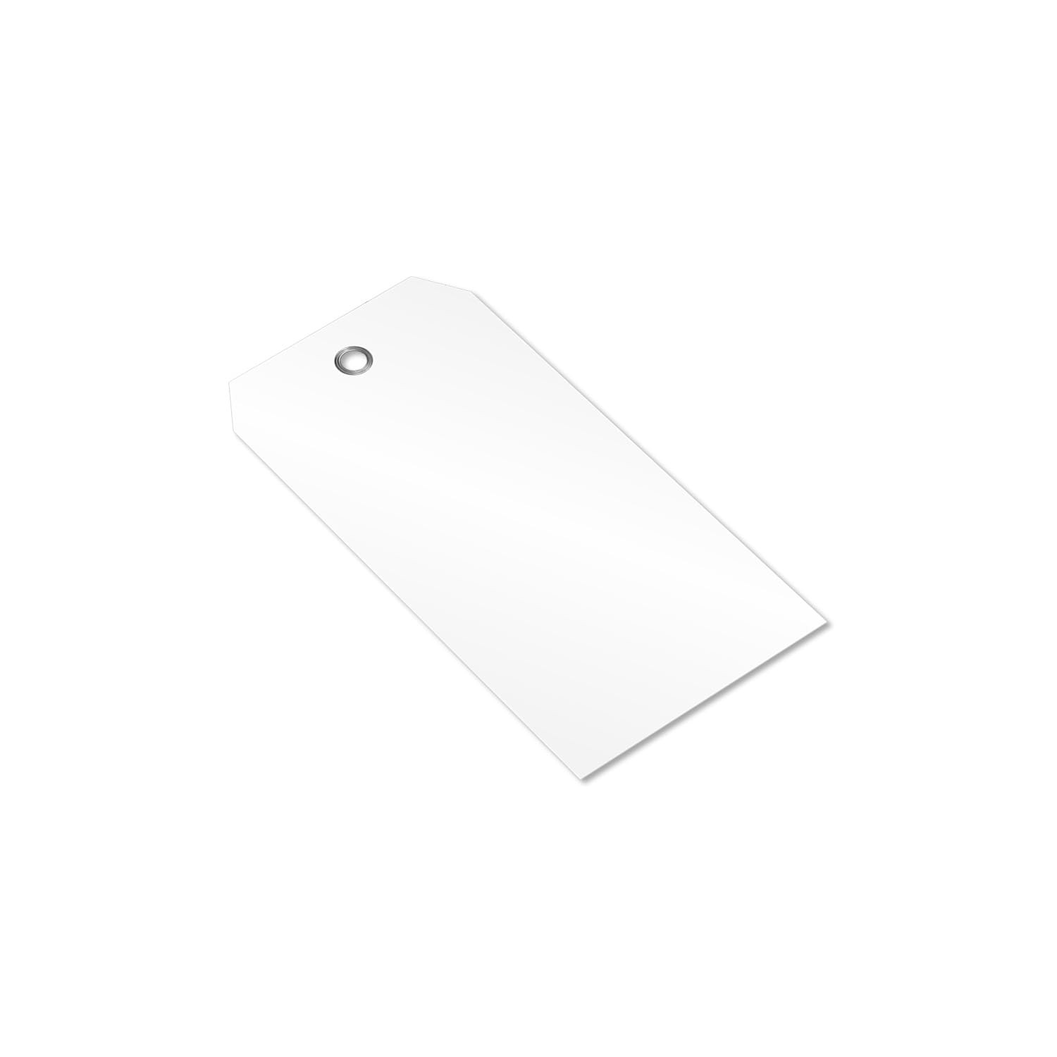 100 Pack White Plastic Tags Pre Punched Hole Size 5, 10 Mil Tearproof Writable