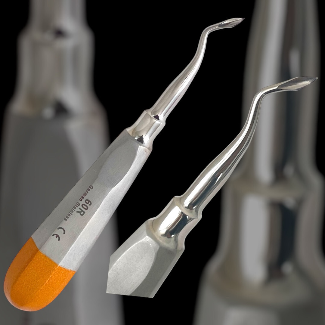 4pc Set Bernard Dental Elevator Luxating Spade Shaped Tip Concave Handle-ArTLaB