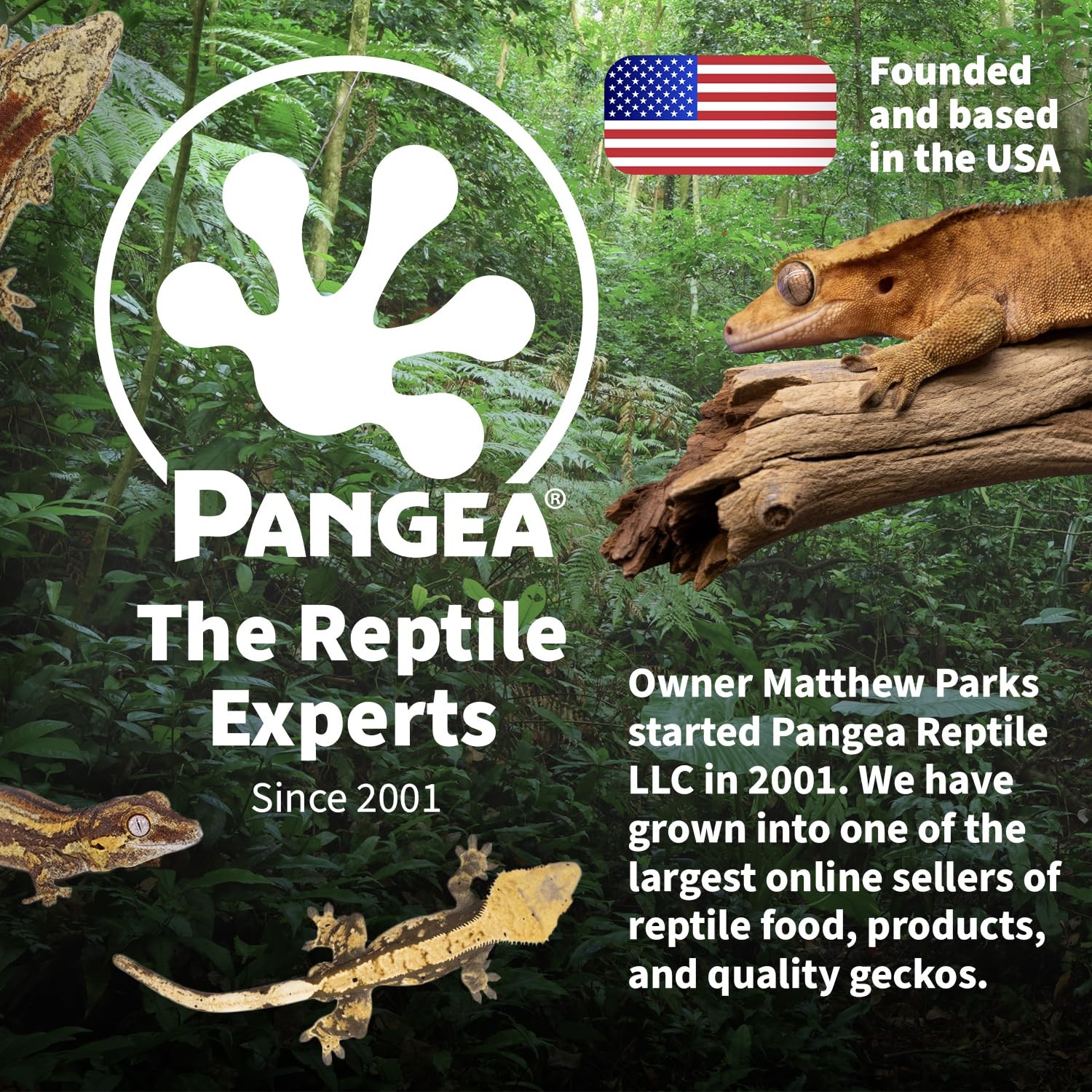 Pangea 50W Deep Heat Projector Carbon Fiber Reptile Basking Lamp Infrared A/B