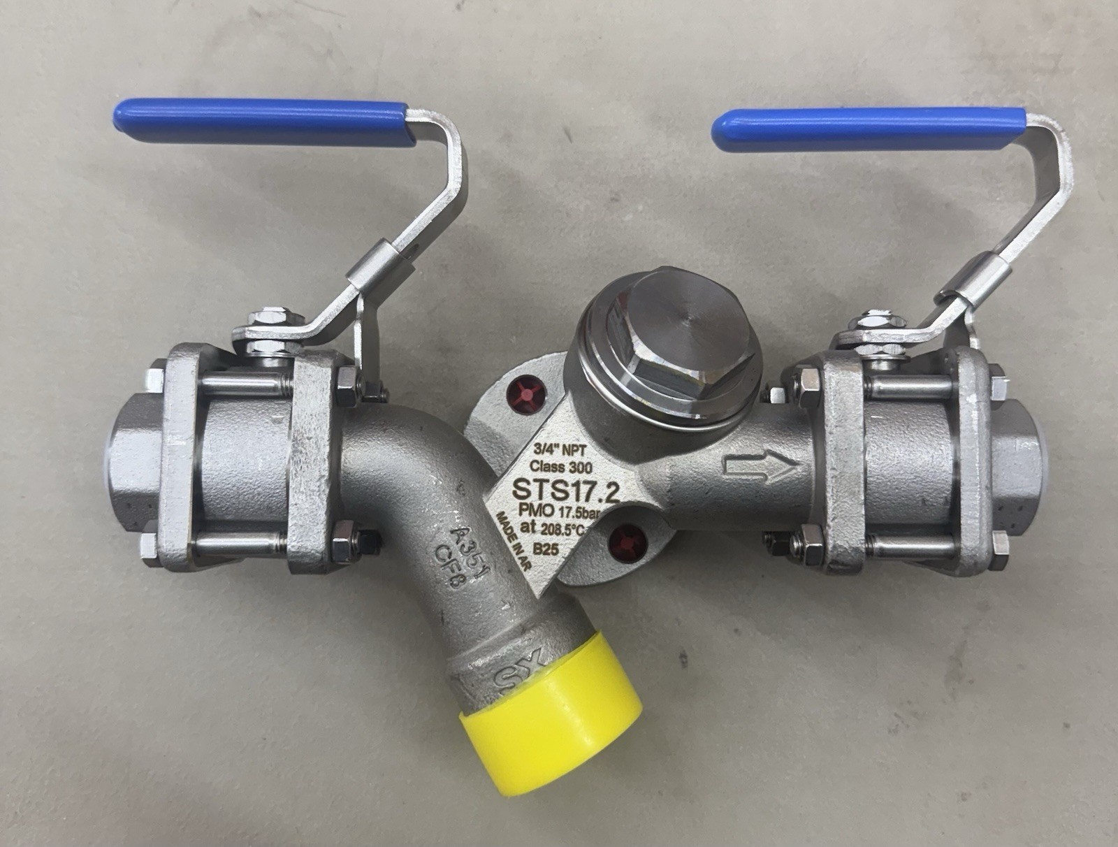 SPIRAX SARCO STS 17.2 Compact 3/4” IPS NPT Pipeline Steam Trapping Station SS
