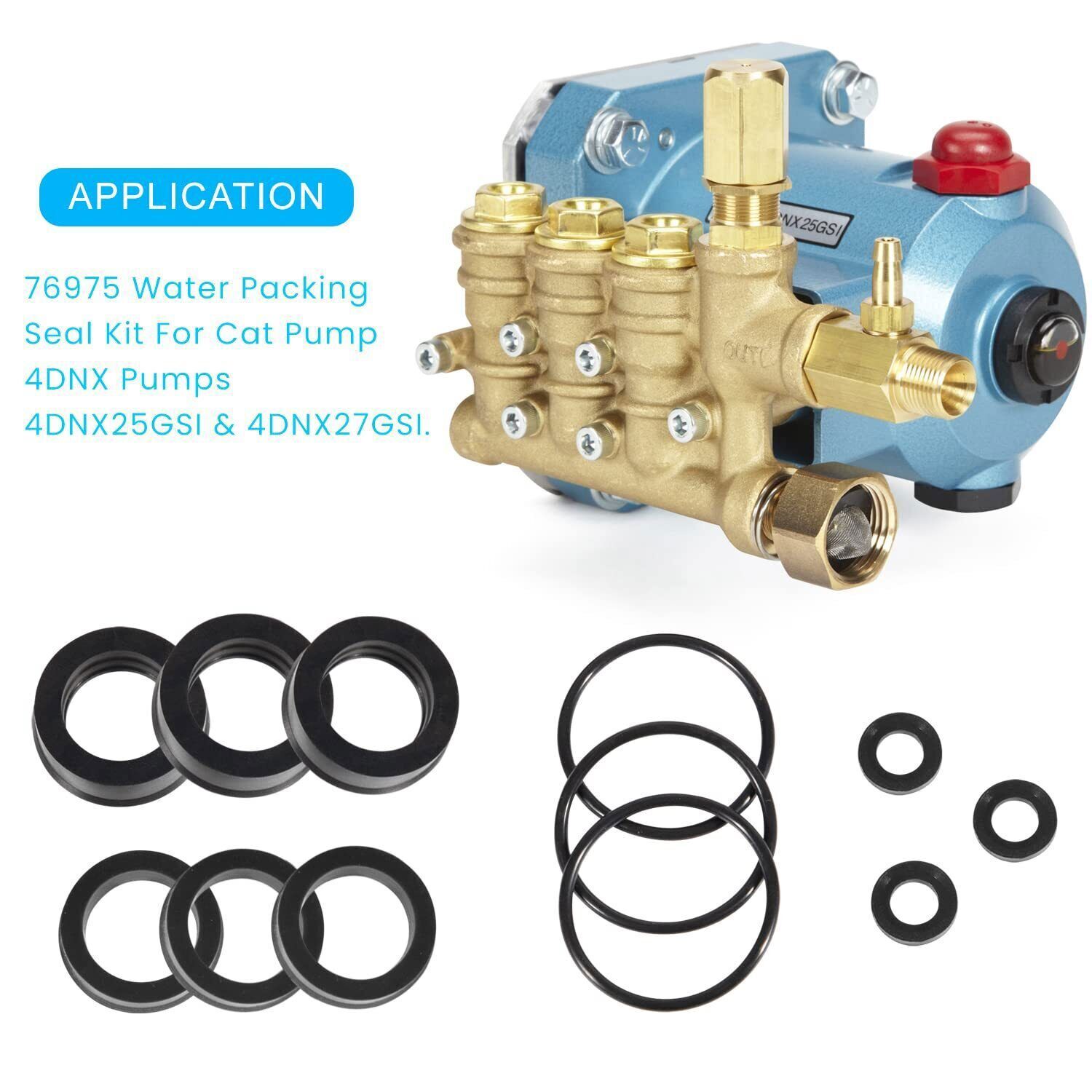 76975 Seal Kit 12Pcs For Cat Pump 4DNX Pumps 4DNX25GSI 4DNX27GSI CAT Seal Kit