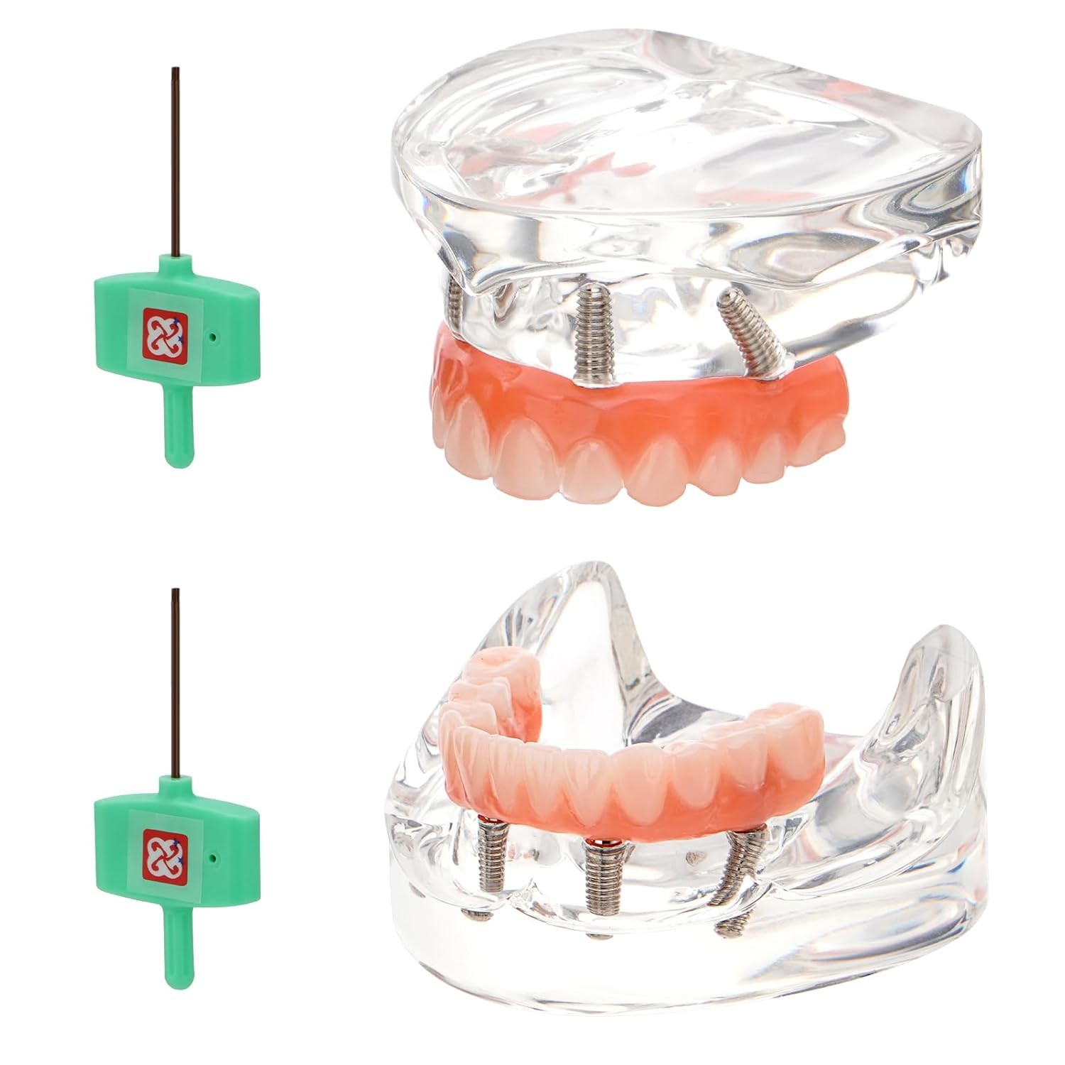 New Dental Implant Model All-on-4 All-on-6 Overdenture U/L Jaw 4/6 Screws Clear