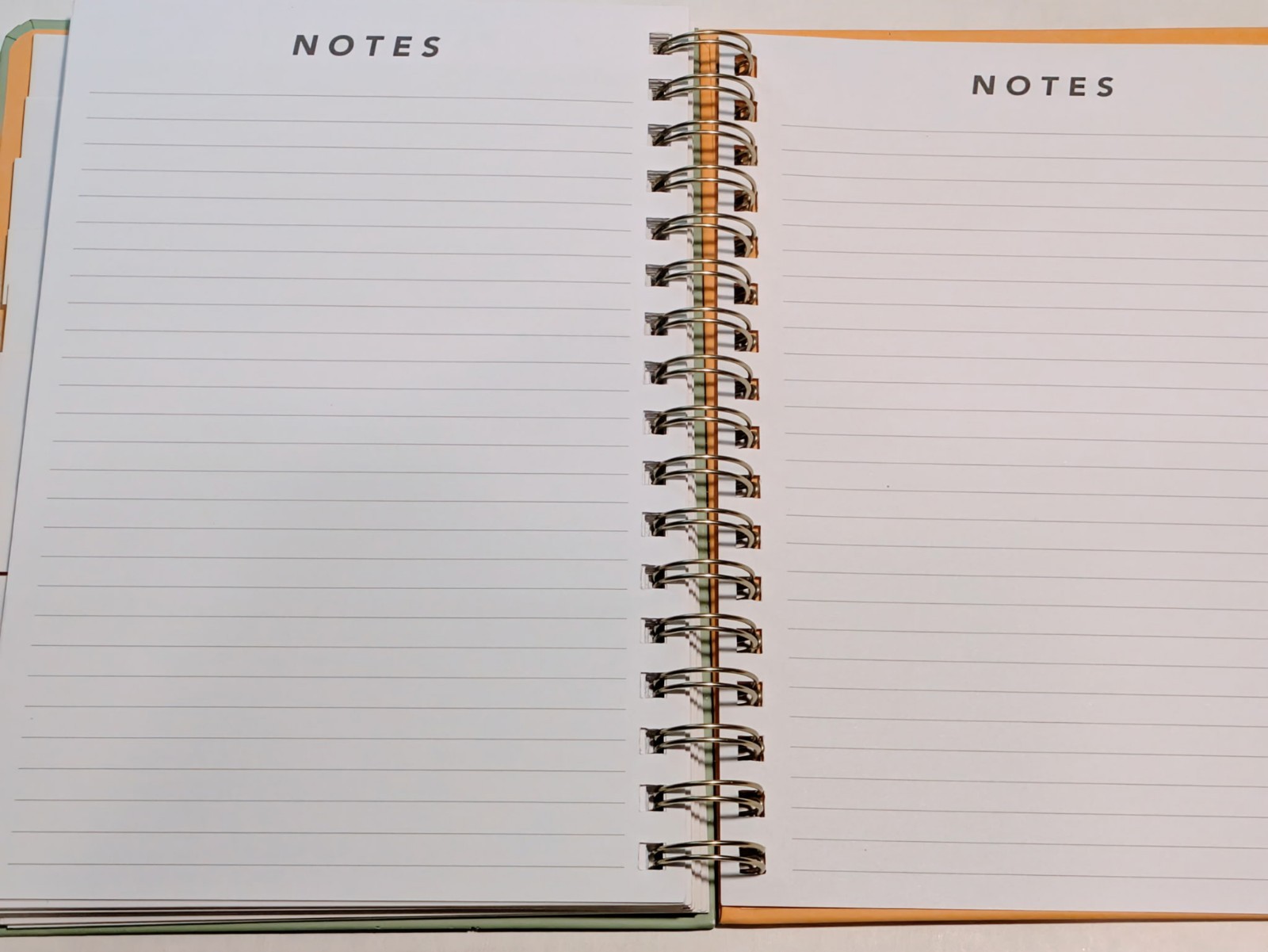Be Rooted Academic Planner 2023-2024 Week & Monthly 8.5″ x 11″