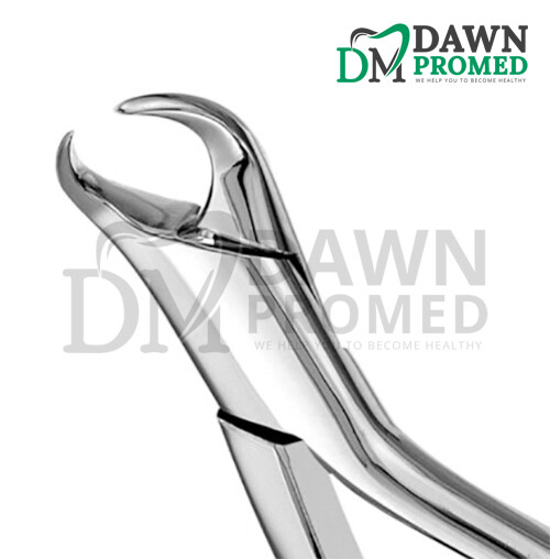 Dental Extracting Forceps #16 Cow horn beak For lower molars Surgical Dental