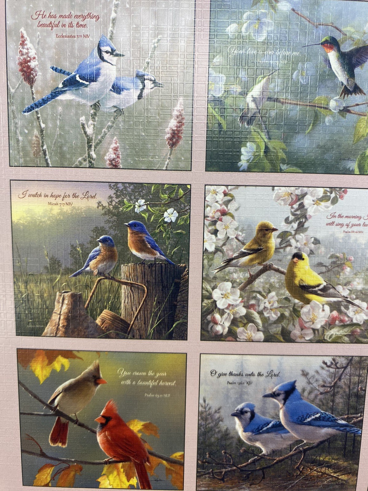 Legacy Songbirds of Faith 2026 Wall Calendar with scripture Birds High Quality