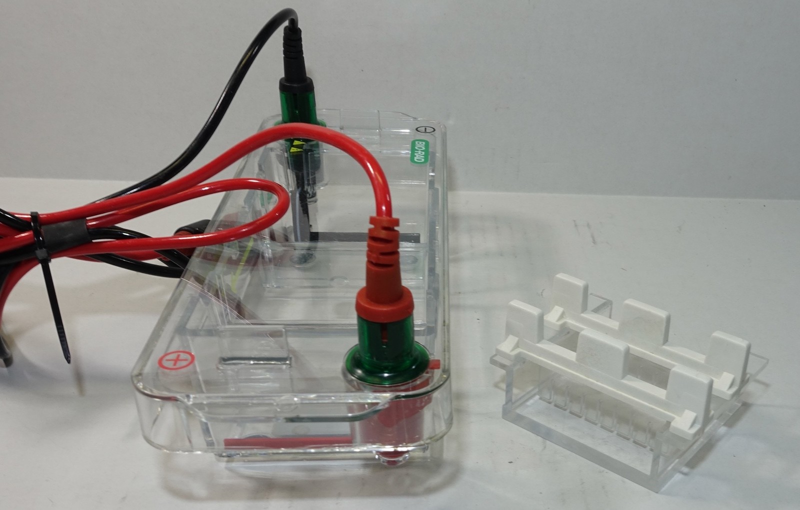 Bio-Rad Mini-Sub Cell GT DNA Electrophoresis Systems, Tray & 2 Combs, Complete