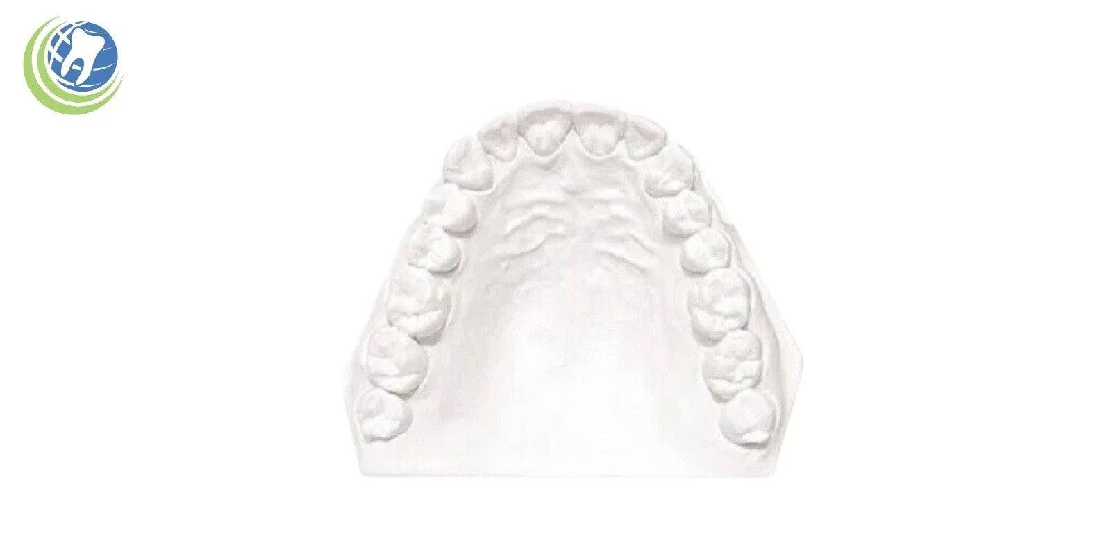 1 to 5 LBS White Dental Plaster Type II Regular Set Gypsum 2-3 Day Delivery