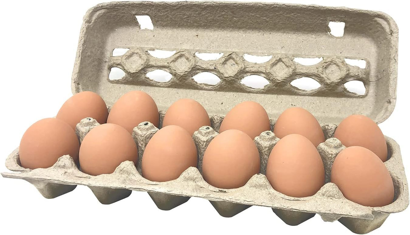 Paper Pulp Egg Cartons – 50 Pack