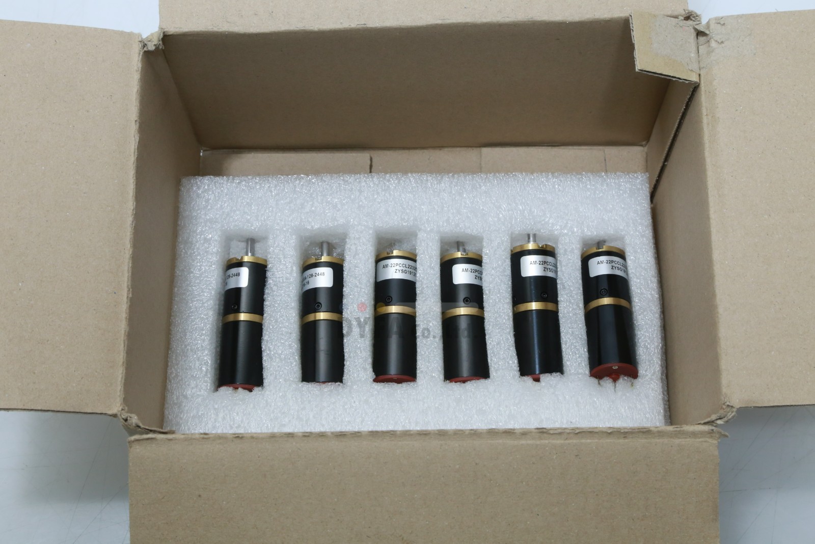 ASSUN Motor NNB AM-22PCCL2232GA-128-2448 Planetary Gearbox MOT-I-4342=9Q21