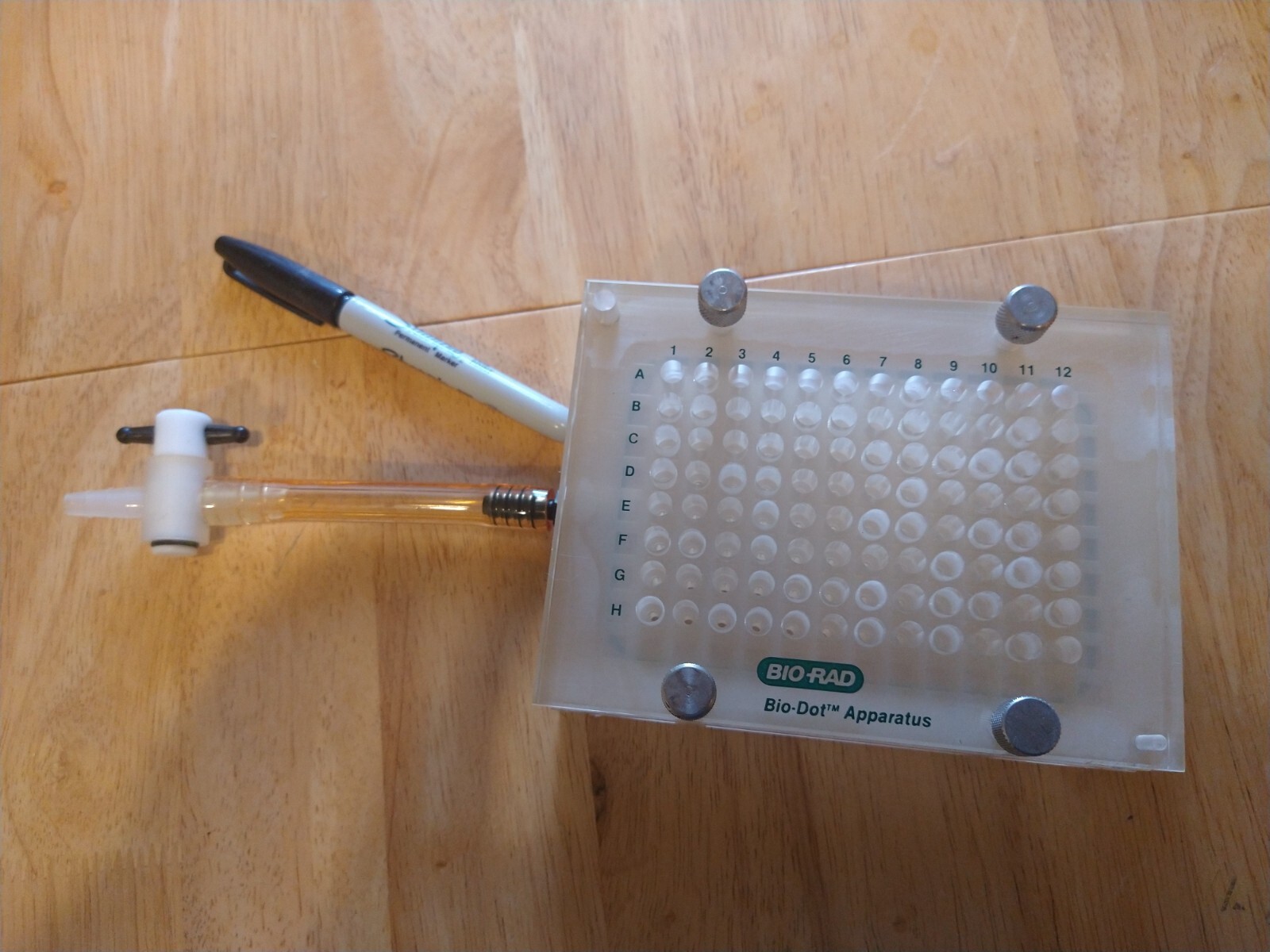 Gel Electrophoresis and ImmunoBlot Devices