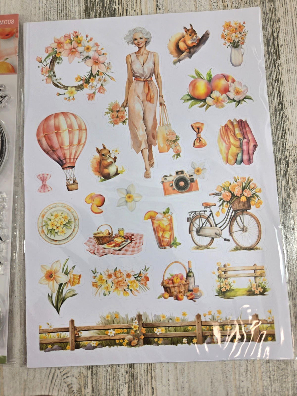 Planners Anonymous Peach Promenade Planner Kit