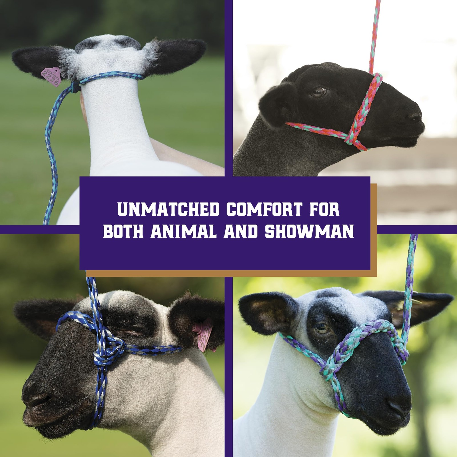 Weaver Livestock Poly Rope Sheep Halter, Modern 7/16″ x 4′, Blue/Black/Gray