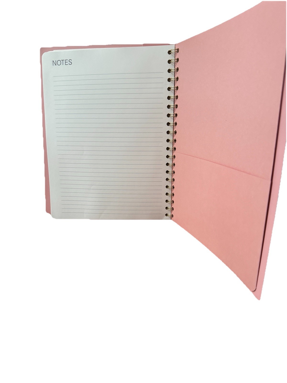 2026 Planner Orange Circle Studio 12 Months Planner Jan-Dec 2026 11×9” X- Large