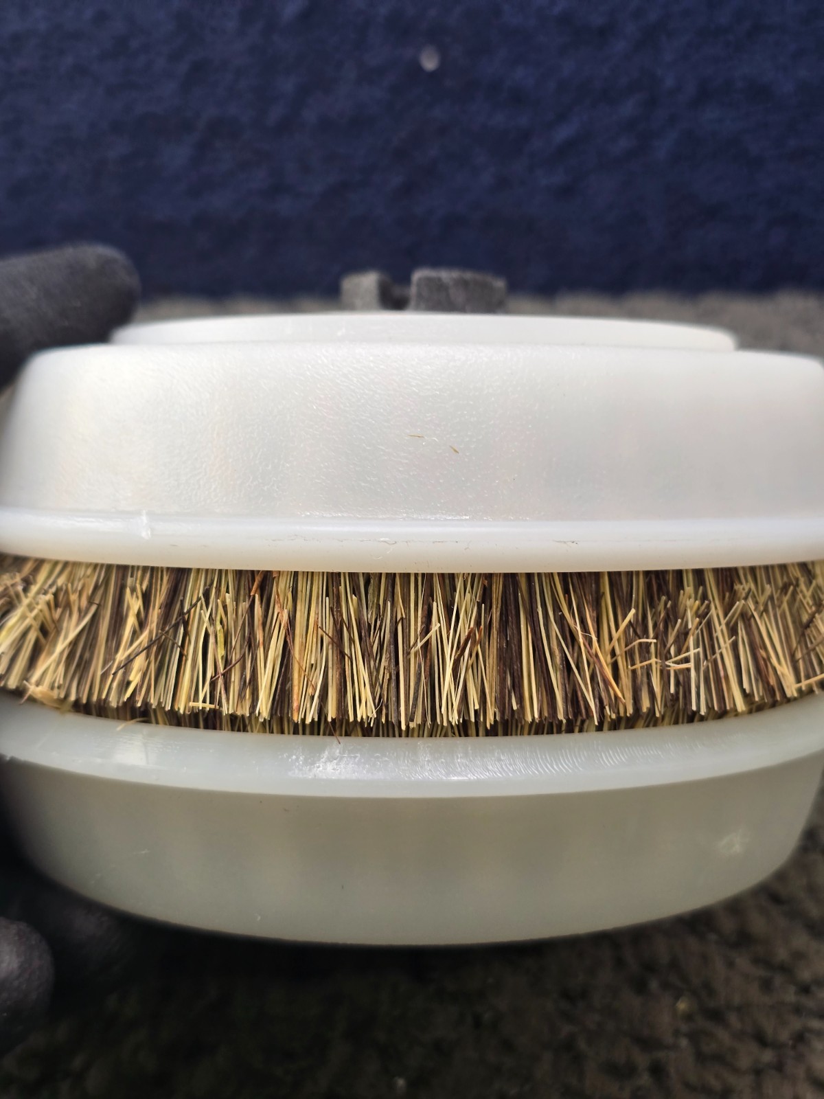 Koblenz 45-0134-2 2-Piece 6″ Hard Floor Scrubbing Brushes For 12″ Twin-Brush