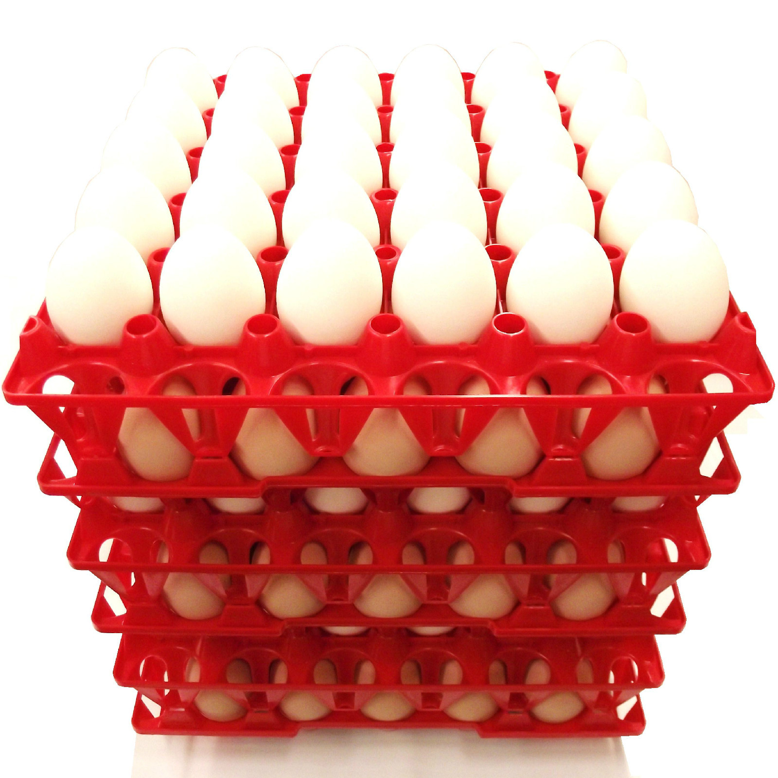 72 RITE FARM PRODUCTS 30 EGG PLASTIC CHICKEN TRAYS SHIPPING CARTON POULTRY FLAT