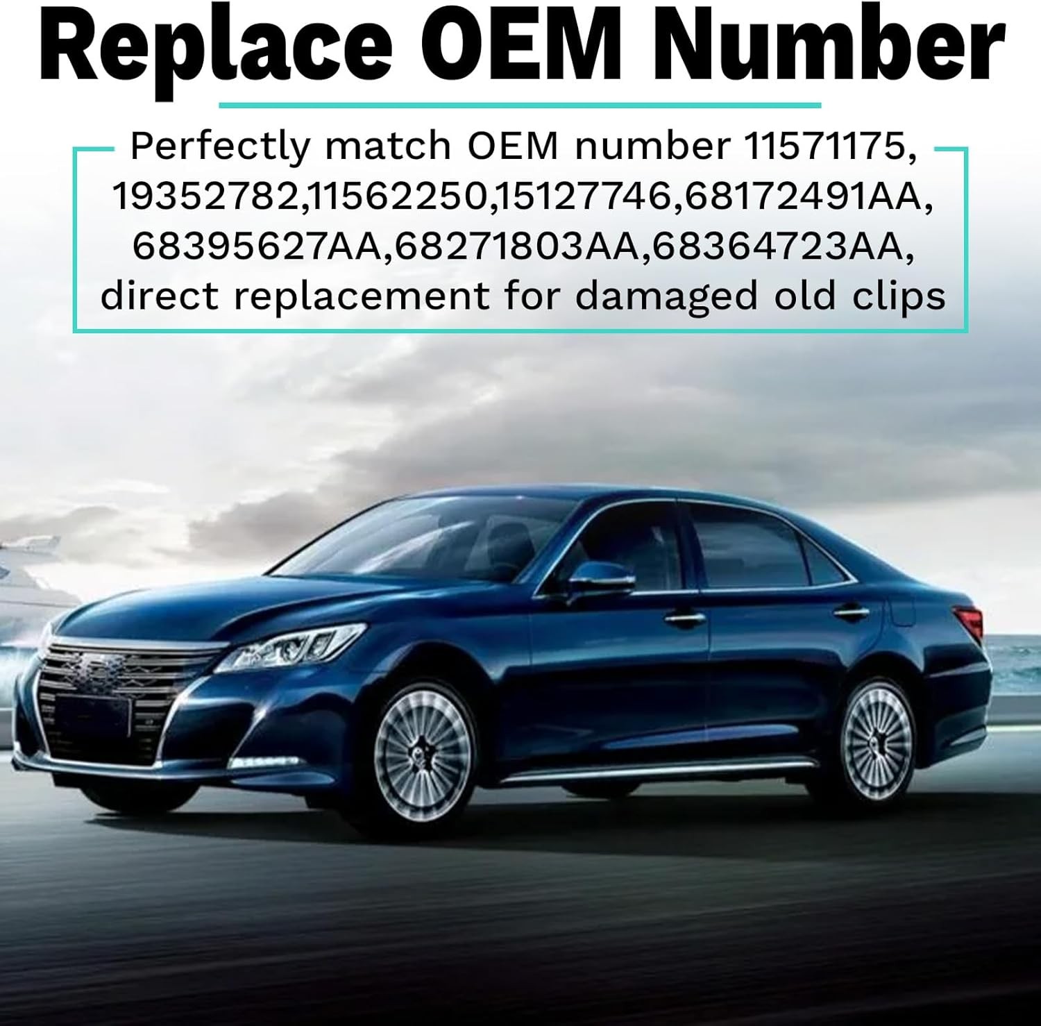 20 PCS Fender and Bumper Rocker Panel Trim Clips with Door Molding