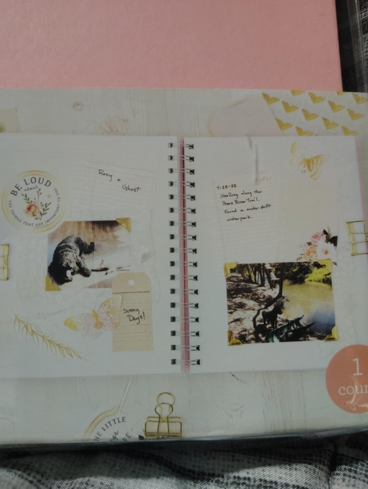 Art Journaling, 90 pages. 6×9 spiral book. Blank pages, FREE SHIPPING