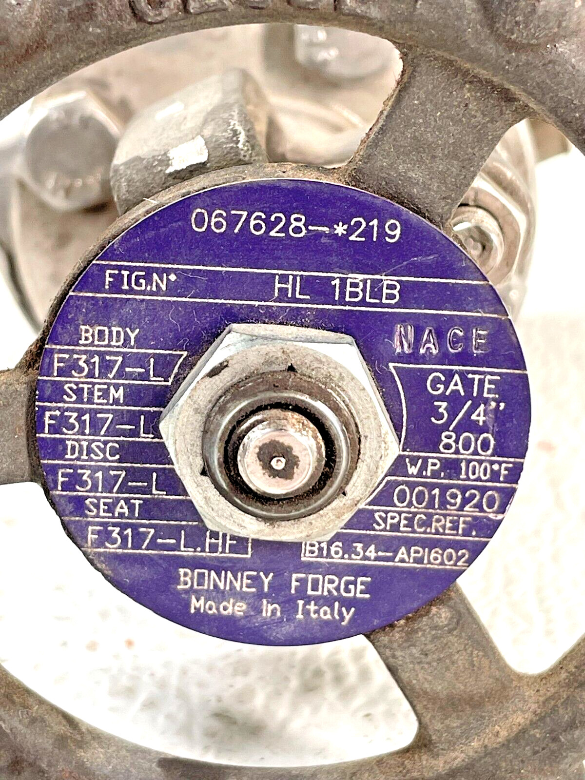 BONNEY FORGE HL-1BLB 317-L Stainless Gate Valve 3/4″ SW x NPT CL. 800 (1920psi)