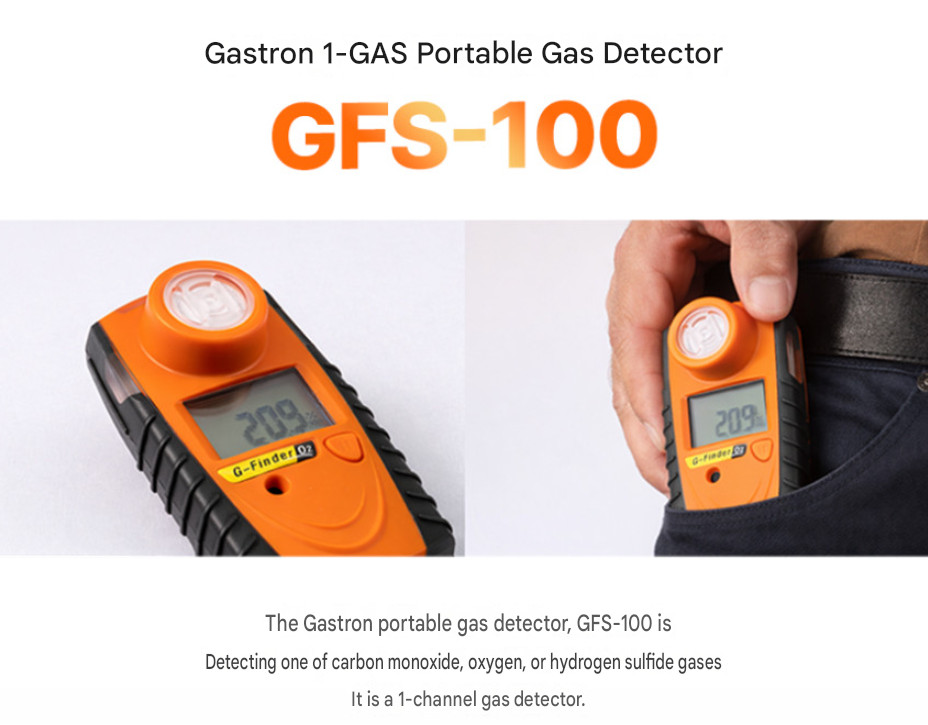 GASTRON Explosion Proof Gas Detector 2 Yr Continuous Monitor O2 CO H2S [Choose1]