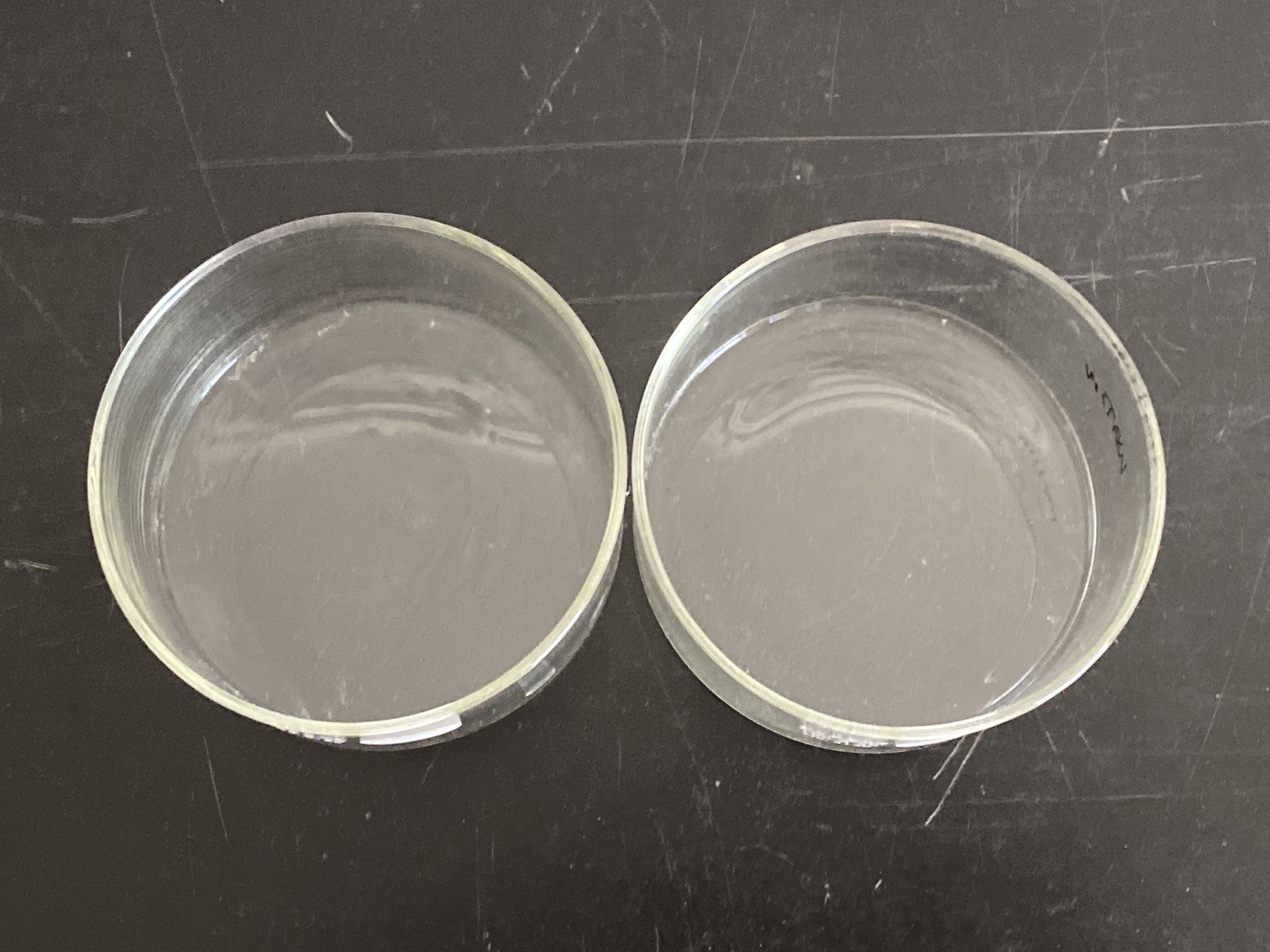 Used (2) CORNING PYREX Glass 100x50mm 340mL Crystallizing Dishes 3140-100